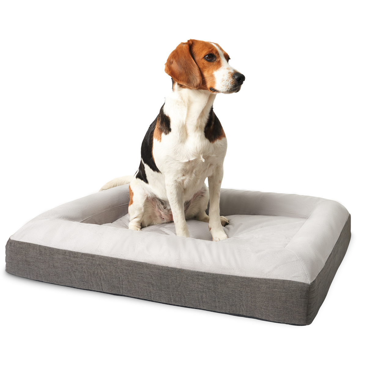 Premium Orthopaedic Memory Foam Dog Bed Waterproof